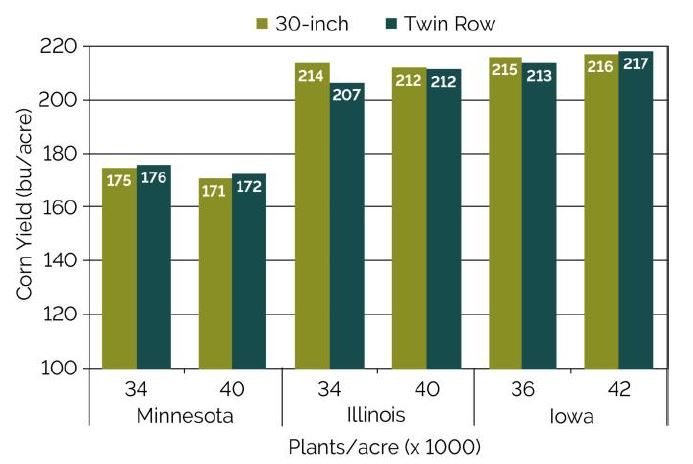 Corn yield in 30-inch rows and twin rows among plant populations included in Pioneer studies conducted in Minnesota, Illinois and Iowa in 2010.