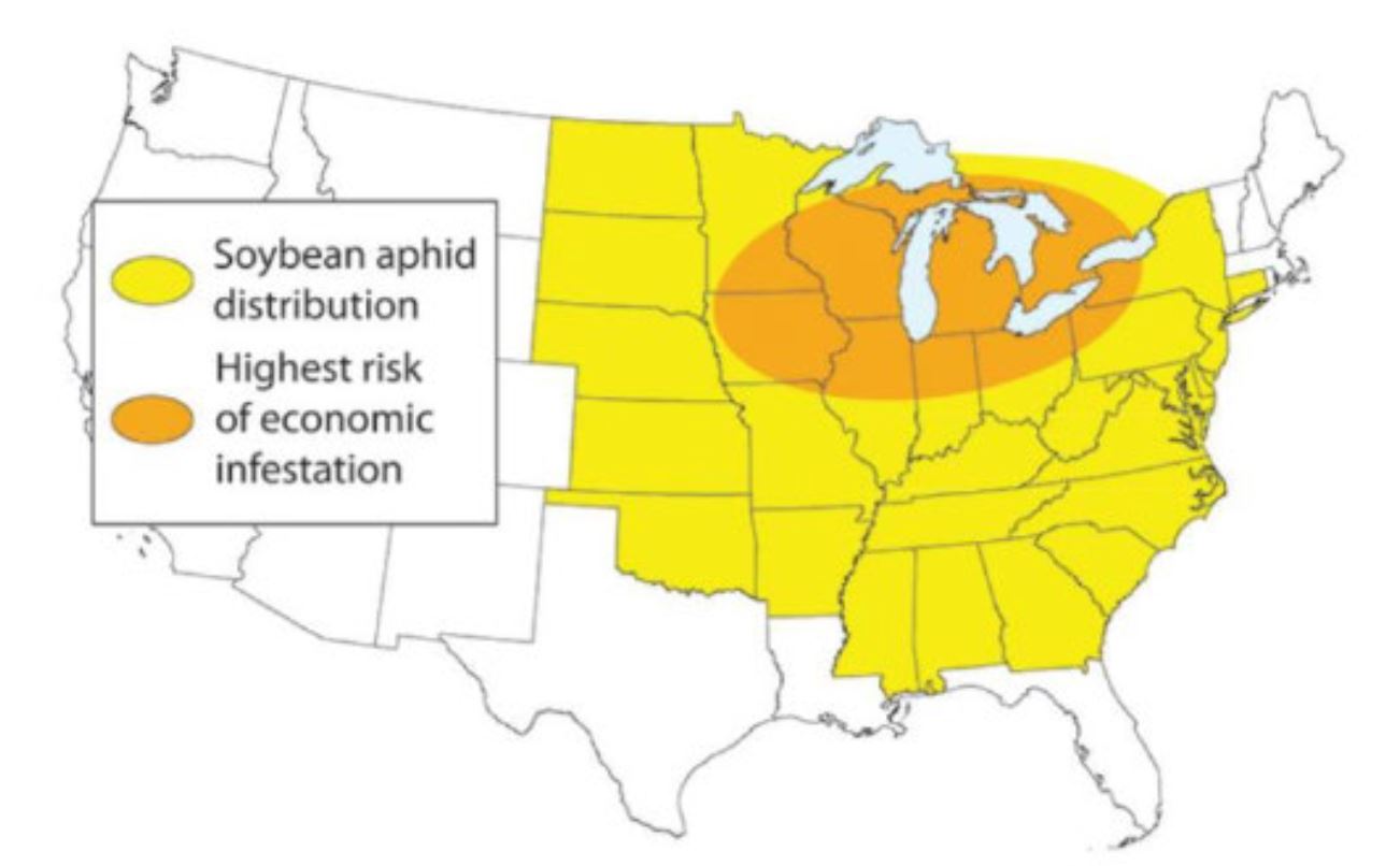 Soybean aphid distribution and area of increased probability of economic infestation.