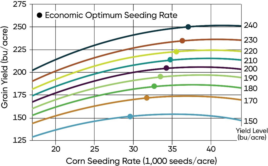 Corn yield response to population and optimum economic seeding rate by location yield level