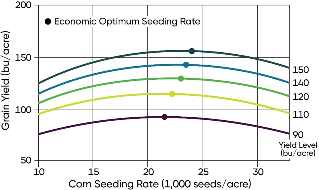 Corn yield response to population and optimum economic seeding rate by location yield level at water-limited sites, 7-yr average.