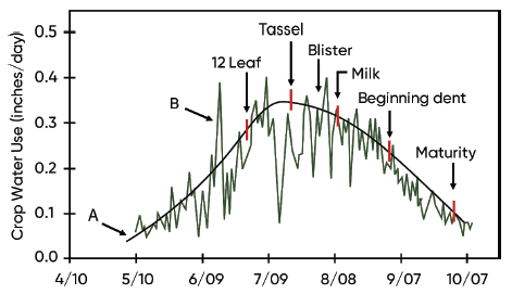Long-term daily average (black line) and individual year (green line) corn water use by growth stage 