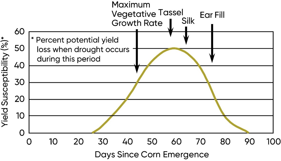 Yield susceptibility to water stress for corn