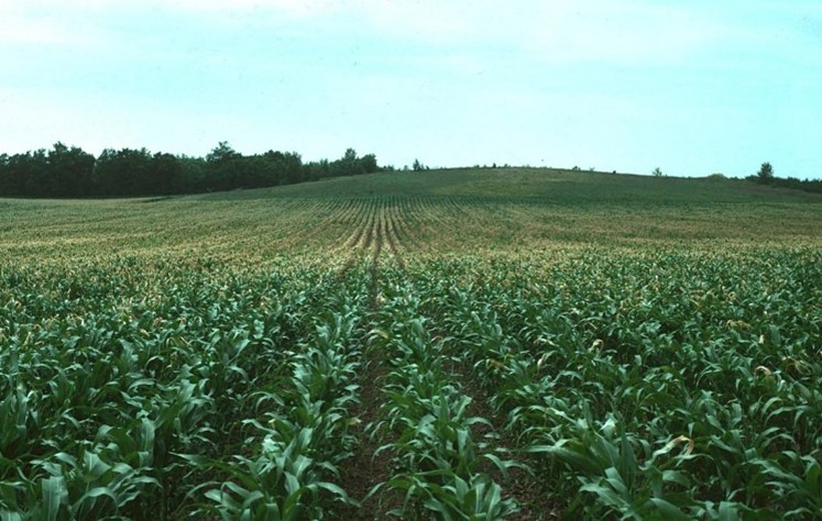 Cold air flows into low areas of hilly fields, result-ing in differential crop damage within the field.