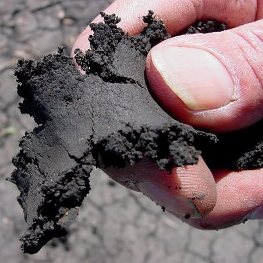 soil that is too wet to plant