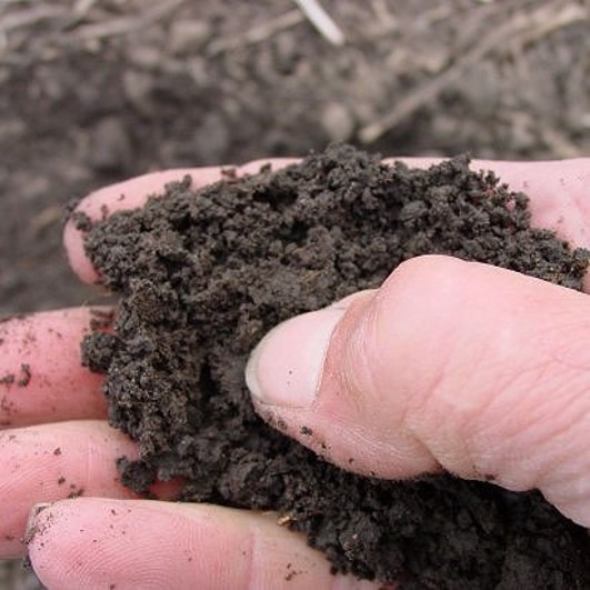 soil that is fit for field work