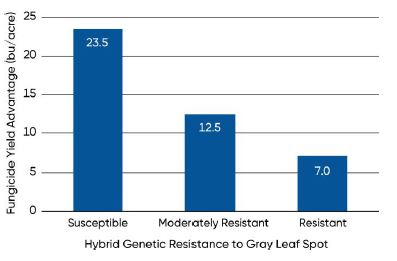 Average yield response of hybrids susceptible, moderately resistant, and resistant to gray leaf spot to foliar fungicide application in a 3-year Univ. of Tennessee/ Pioneer research study.