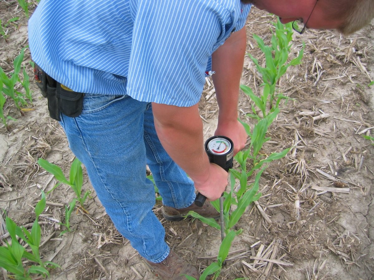 Measuring soil compaction with a soil penetrometer.