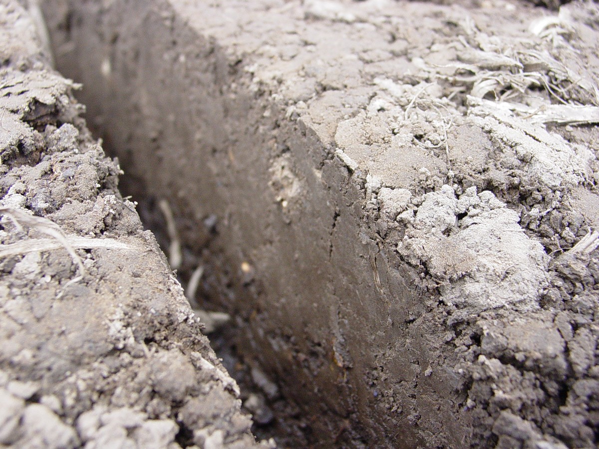 Compaction of the seed furrow sidewall due to double-disk openers slicing through the soil in wet seedbed conditions.