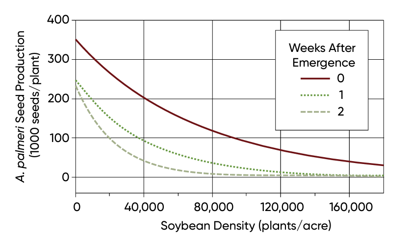 Effect of soybean density and Palmer amaranth emergence timing relative to the crop on Palmer amaranth seed production per plant at harvest
