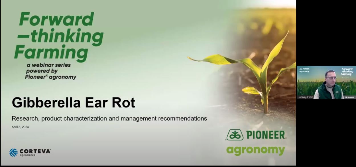 Pioneer Agronomy Webinar – Gibberella Ear Rot