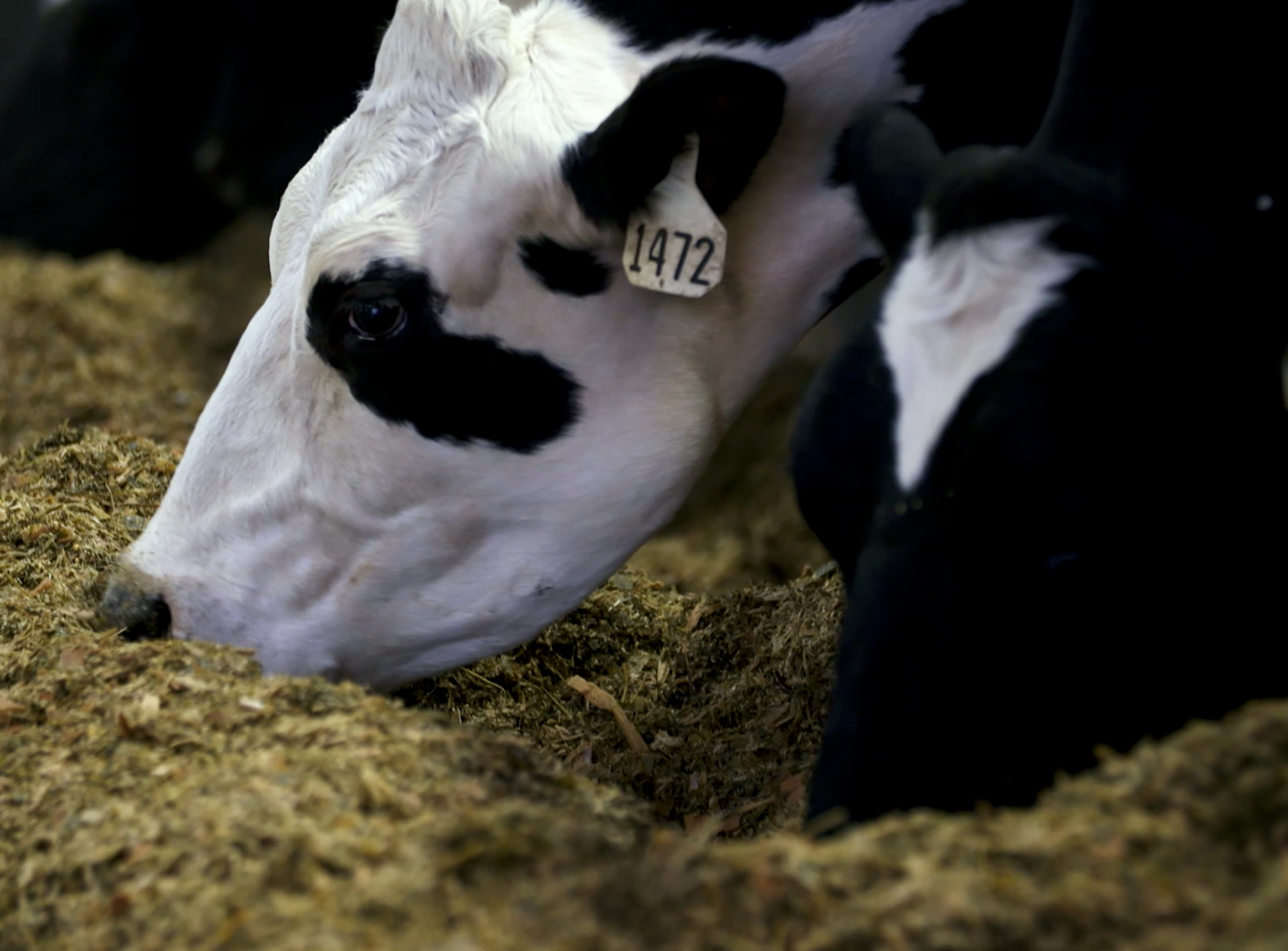 Stories From The Zone: Feltz Family Farms