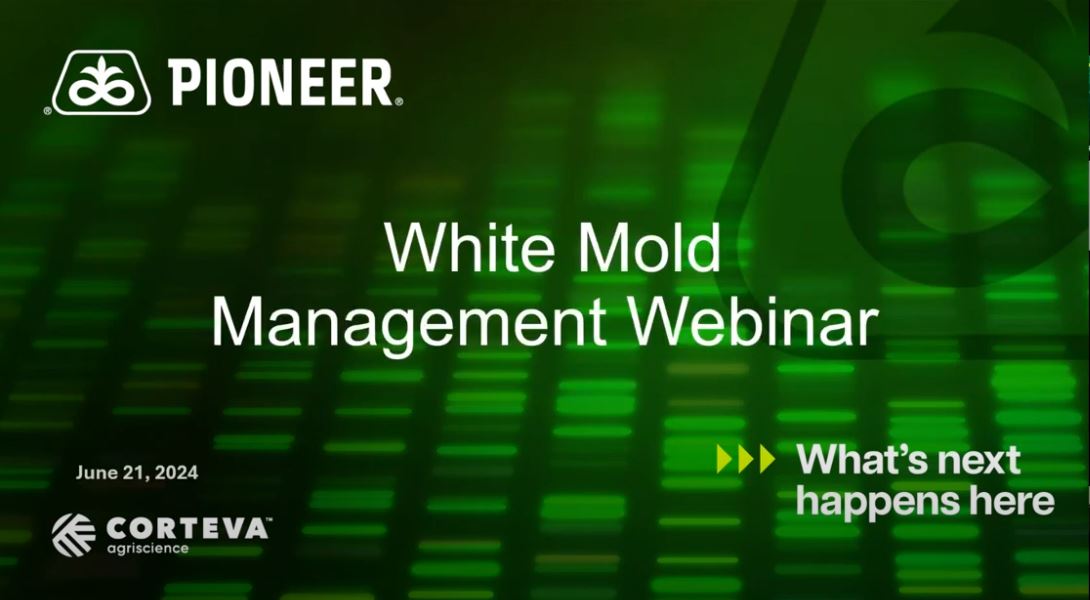 Pioneer Agronomy Webinar - White Mould Management