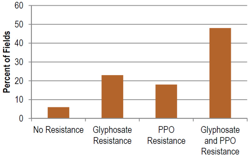 Percentage of fields with no resistance - resistance to glyphosate - resistance to PPO-inhibiting herbicides - or resistance to both herbicides.