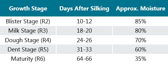 This is a table showing the number of days following silking to reach corn reproductive growth stages and approximate grain moisture.