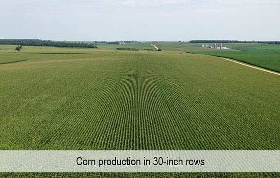 Corn production in 30-inch rows