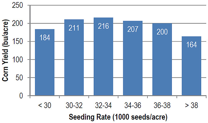  An example of seeding rate data output for an individual hybrid from a farmer network service.