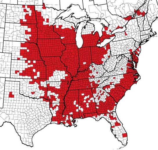 Map - Known distribution of soybean cyst nematode in North America as of 2017.