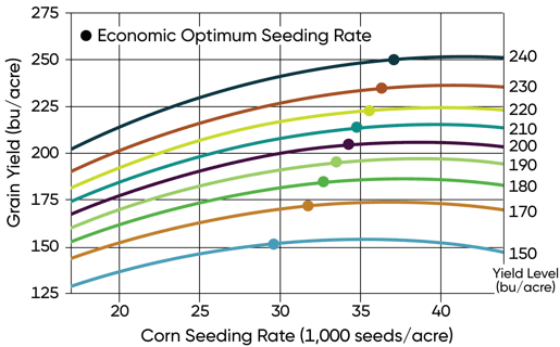 Corn yield response to population and optimum economic seeding rate by location yield level.