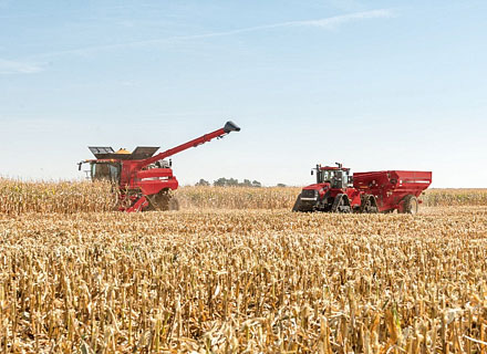 Photo - Red combine harvesting corn.