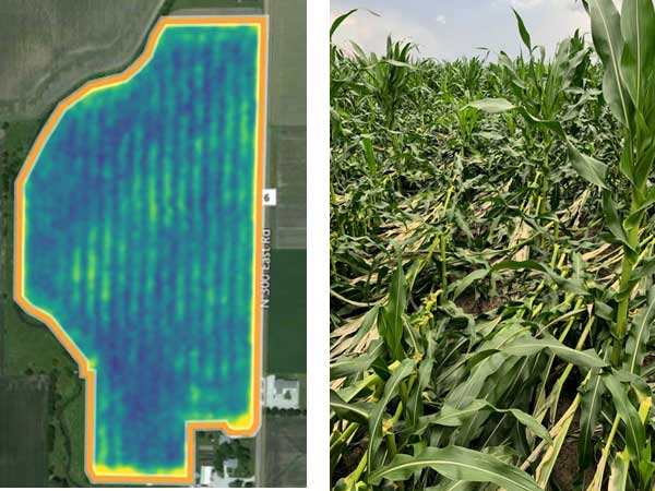 Photos - Granular Insights imagery showing alternating bands of reduced crop health in a field in Illinois.