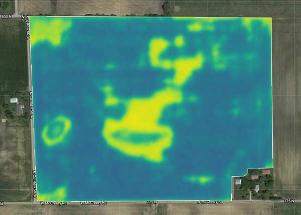Granular Insights Vegetation Index map showing spatial variation in crop health across a field.