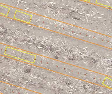 Aerial photo - Corteva Agriscience image analysis software is able to detect individual plants and gaps in a crop stand.