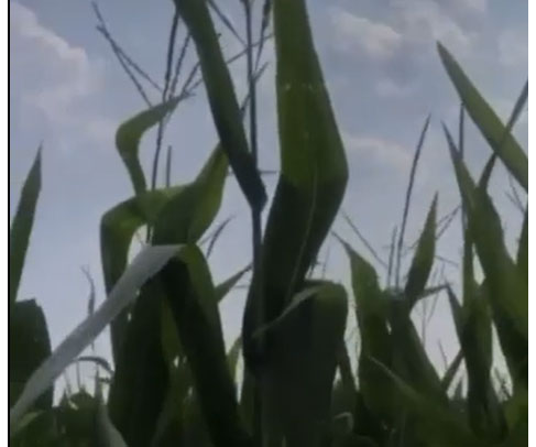 Follow along on the tour.