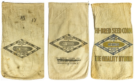 Early 1930's Pioneer seed corn bags - osnaburg fabric