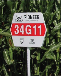 Field sign - Pioneer brand 34G11 corn hybrid