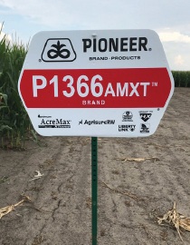 Pioneer field sign - P1366AMXT corn hybrid