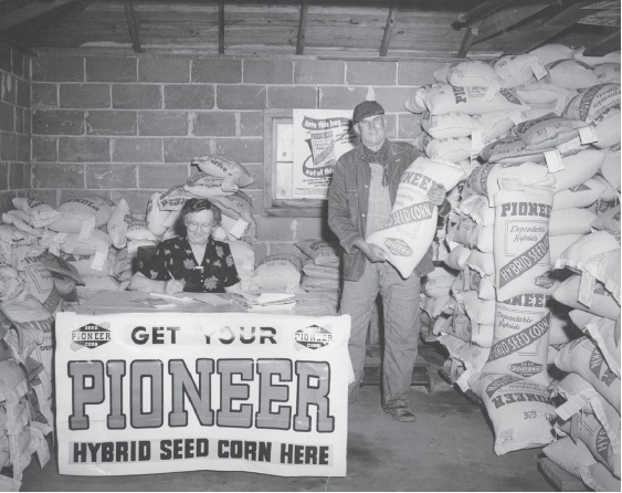 Distributing Pioneer seed corn - late 1940s - black and white photo
