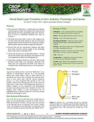 Crop Insights article examples from 1991 - 2005 - 2016 and 2024