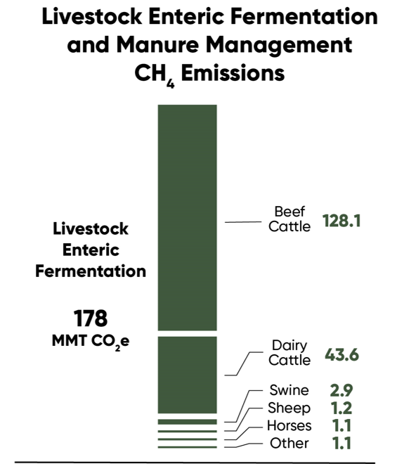 Chart - Methane emissions from livestock enteric fermentation and manure management by livestock type.