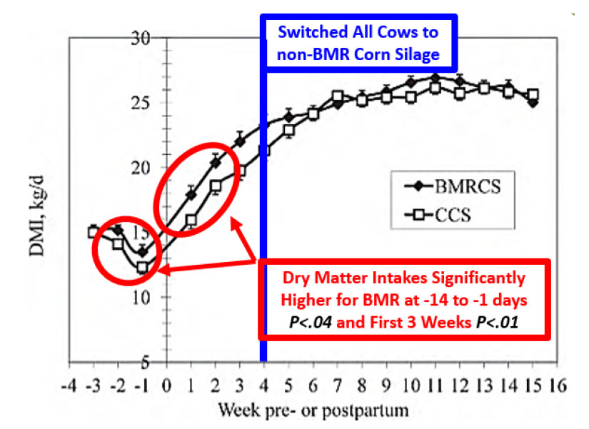Graph - Dry matter intake response in BMR diets (Cornell, 2012).