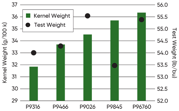 Average kernel weight and test weight of several Pioneer hybrid families in a 2023 study in Eastern Ontario