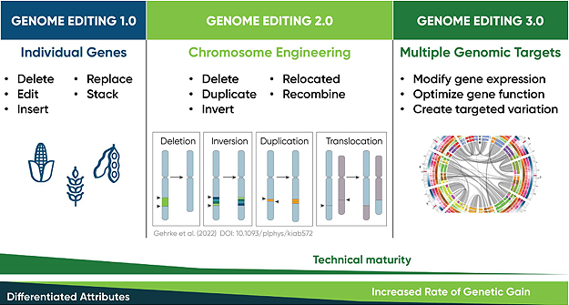 Illustration - the next generation of genome editing technologies allow for more complex modifications like multiplexed gene activation or large-scale chromosome engineering Illustration - the next generation of genome editing technologies allow for more complex modifications like multiplexed gene activation or large-scale chromosome engineering