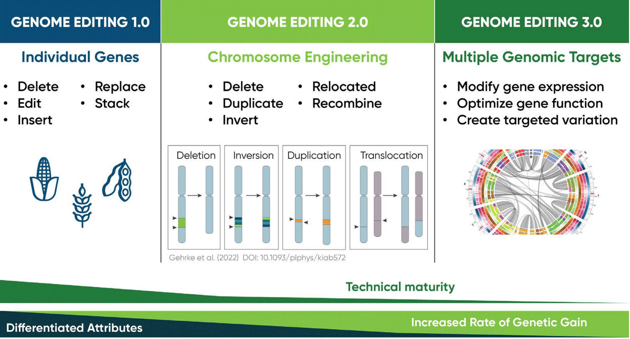 Genome Editing for Crop Improvement | Pioneer® Seeds