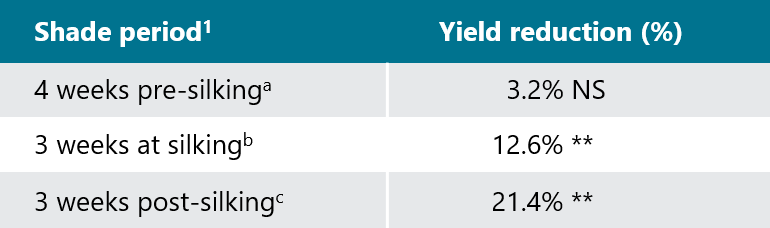 Table - Effect of shade treatments on corn yield - 2009