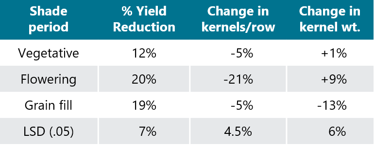 Table - Effect of shade treatments on corn yield.