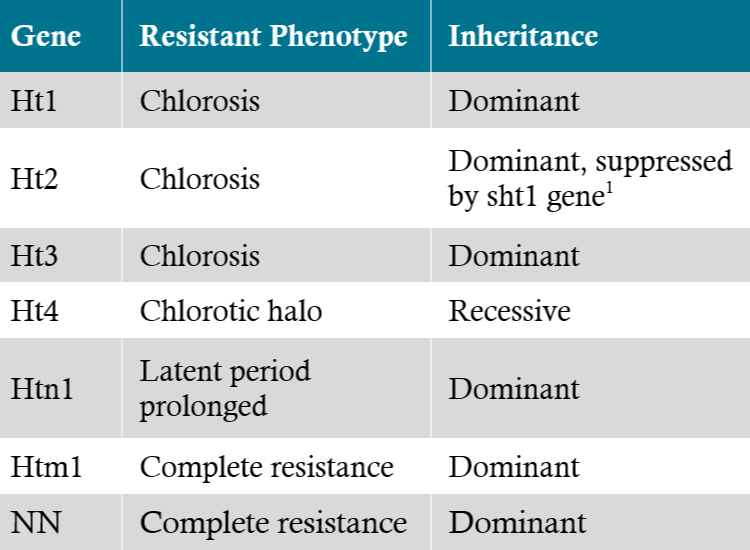 Table  - Ht resistance genes