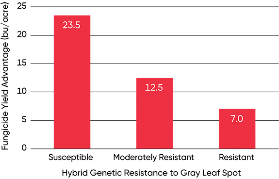 Average yield increase of hybrids with different levels of resistance to GLS due to a foliar fungicide application