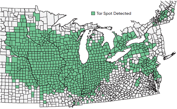 Counties in the Corn Belt with confirmed incidence of tar spot as of December 2025 Counties in the Corn Belt with confirmed incidence of tar spot as of December 2025