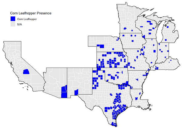 Growing degree unit accumulation deviation from normal for the period of May 1 to 27 2025