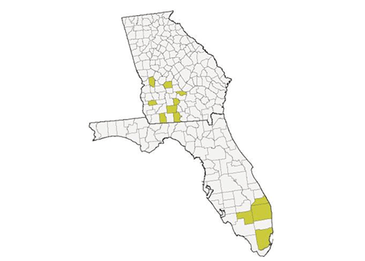 Map - Counties with confirmed or suspected incidence of tar spot, as of October 2021.