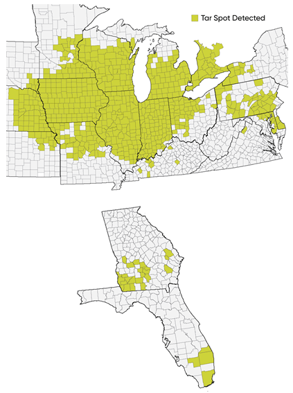 Map - U.S. Counties in the Corn Belt with confirmed incidence of tar spot, 2015-2021 - as of October 2021.