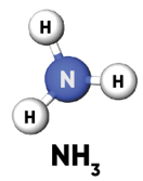Anhydrous ammonia molecule.