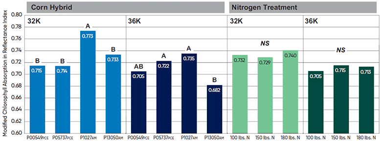 Modified chlorophyll absorption in reflectance index by corn hybrid and nitrogen treatment at 32000 and 36000 seeds per acre seeding rates