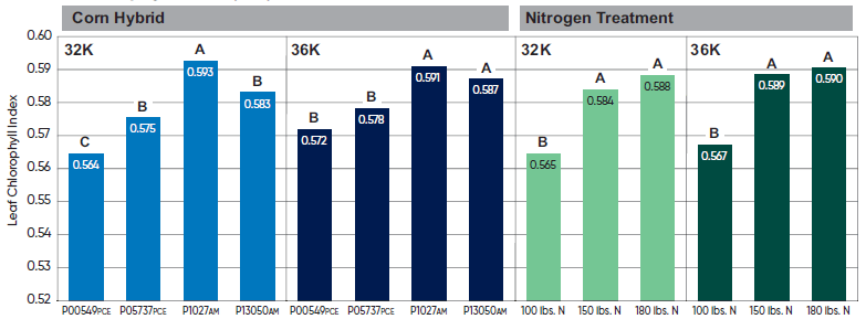 Leaf chlorophyll index - LCI - by corn hybrid and nitrogen treatment at 32000 and 36000 seeds per acre seeding rates