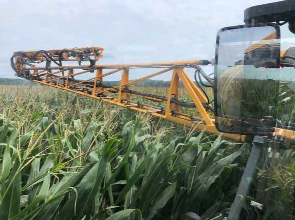 Photo - Field operation - corn - midsummer