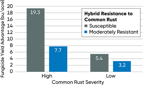 Average fungicide yield response of hybrids with low and moderate resistance to common rust in Pioneer small-plot trials
